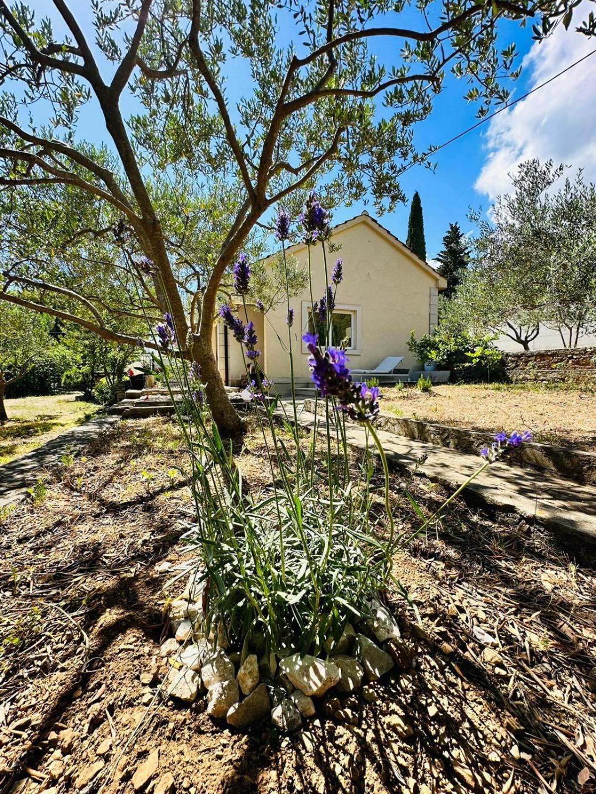 House Ferienhaus Bol